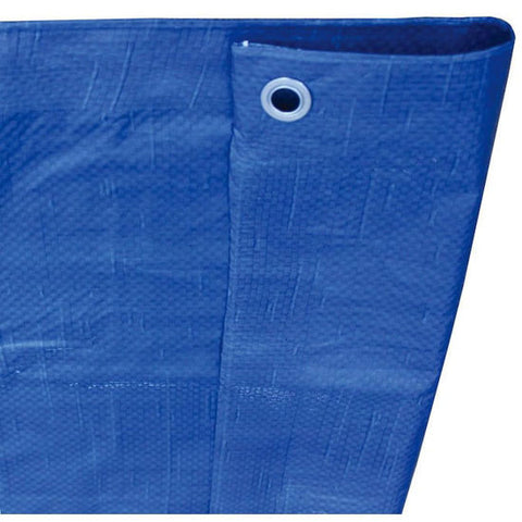 Blue Standard 5 Mils Polyethylene Tarp