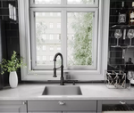 Vigo Edison Pull-Down Spray Kitchen Faucet [Matte Black]